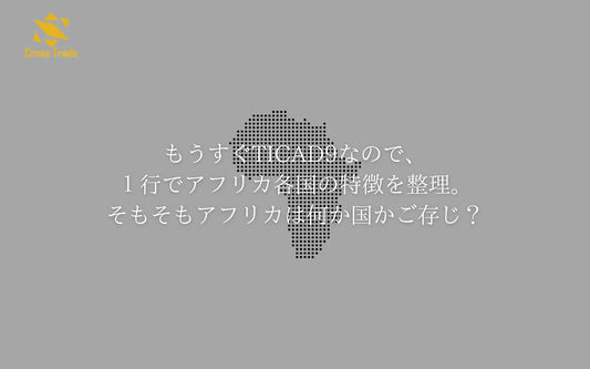 もうすぐTICAD9なので、１行でアフリカ各国の特徴を整理。そもそもアフリカは何か国かご存じ？