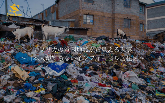 アフリカの貧困地域から見える現実～日本人が知らないインフォーマル居住区～