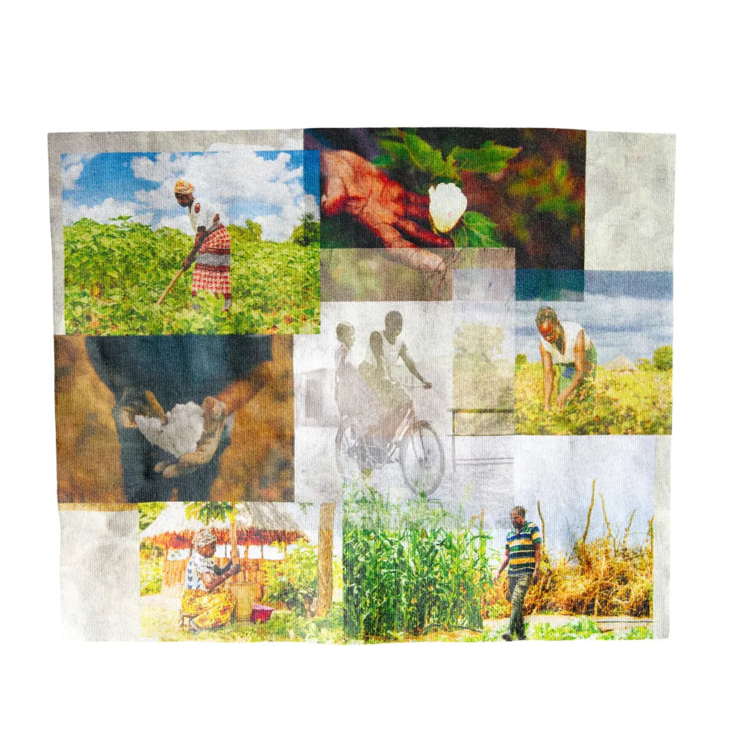 【QRで農家と繋がる】ザンビア産コットン100%エシカルTシャツ｜farmers360°link